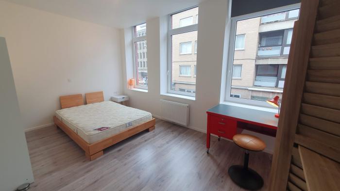 Shared housing 235 m² in Mons