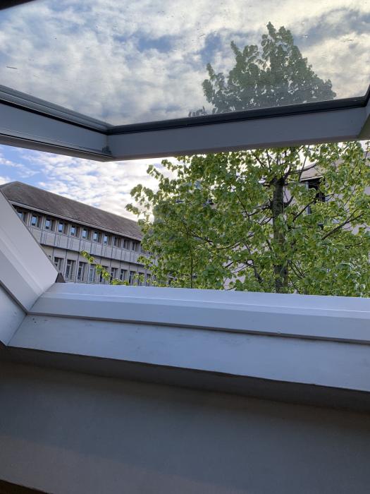 Kot bij bewoner
