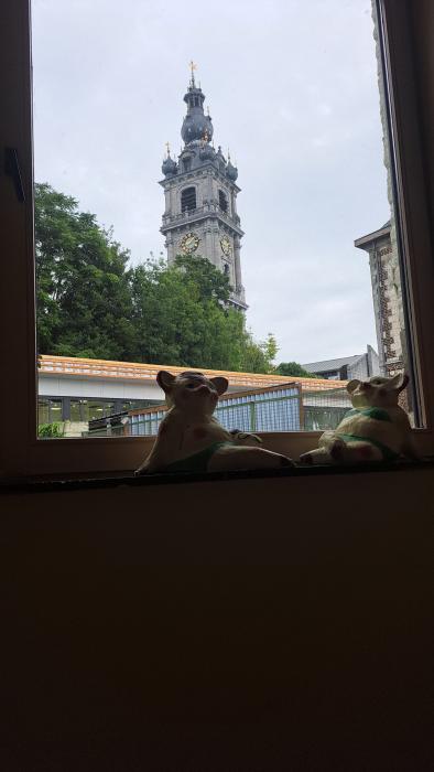 Kot bij bewoner
