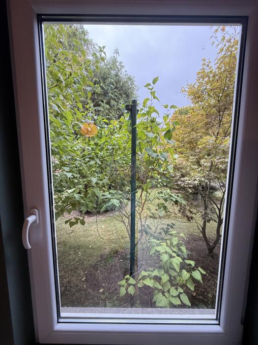 Student room