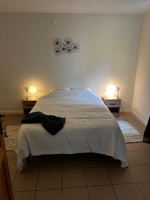 Chambre 2 (460€ + charges)