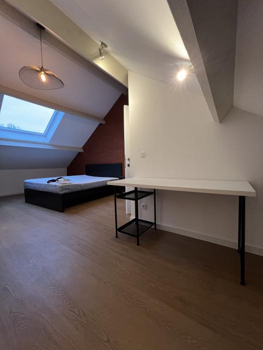 Chambre dragon - photo 3