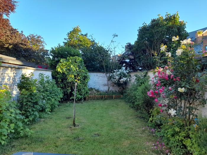 Jardin