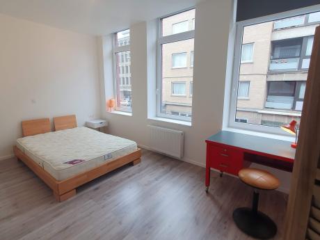 Shared housing 235 m² in Mons